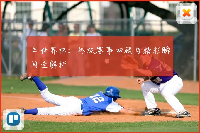 年世界杯：终极赛事回顾与精彩瞬间全解析